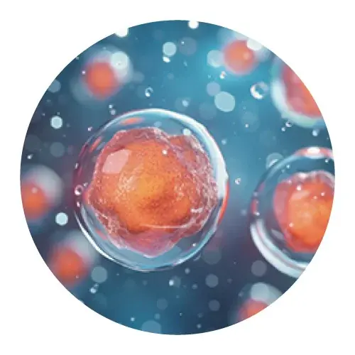 世界初※の美肌因子成分「レチニアミド発酵液」配合「ルリーク インテンシブリペアジェル」誕生 画像 5