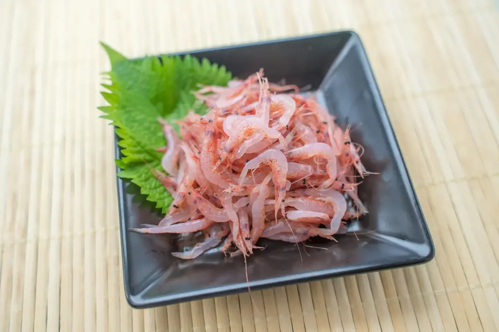 五街道の起点日本橋と東海道で結ばれたしずおか中部の交流企画｜日本橋の名店15店で桜えびやしらすなどしずおかの名産品を活かした特別メニューを味わう「日本橋 しずおか食堂」を11/8(土)より期間限定開催 画像 21