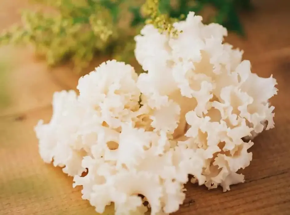 五街道の起点日本橋と東海道で結ばれたしずおか中部の交流企画｜日本橋の名店15店で桜えびやしらすなどしずおかの名産品を活かした特別メニューを味わう「日本橋 しずおか食堂」を11/8(土)より期間限定開催 画像 22