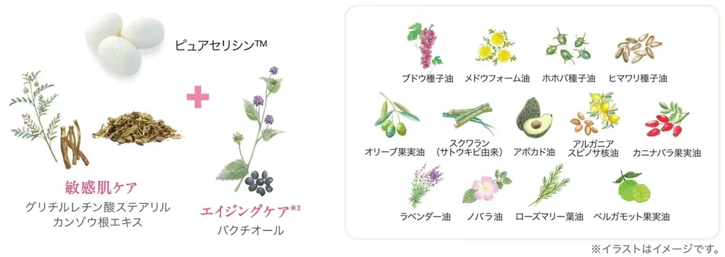 「ずっと使い続けたい」の声に応えて。「コモエース」から敏感肌ケア・エイジングケア※1を叶える美容オイルが定番商品として新発売！ 画像 5