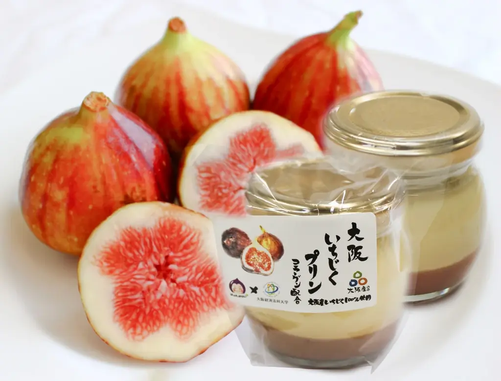 「走って、食べて、南河内がもっと好きになる！」参加賞は南河内の名産品！地域の味覚と景観を五感で楽しむランイベント「南河内フルーツマラニック」初開催へ！11/8日（土）11時～ 画像 2