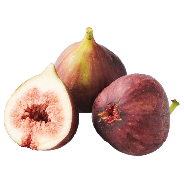 「走って、食べて、南河内がもっと好きになる！」参加賞は南河内の名産品！地域の味覚と景観を五感で楽しむランイベント「南河内フルーツマラニック」初開催へ！11/8日（土）11時～ 画像 5