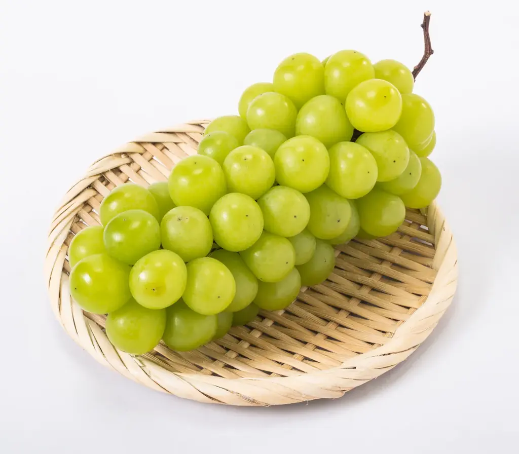 「走って、食べて、南河内がもっと好きになる！」参加賞は南河内の名産品！地域の味覚と景観を五感で楽しむランイベント「南河内フルーツマラニック」初開催へ！11/8日（土）11時～ 画像 6