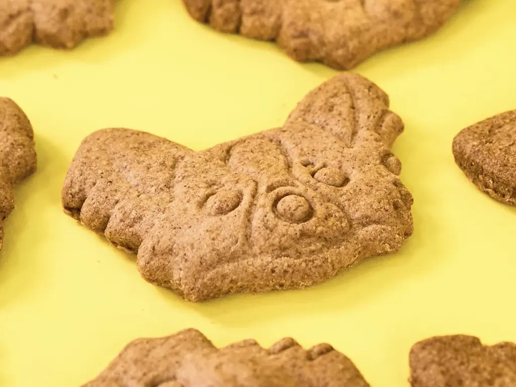 Shake Shack日本上陸10周年記念！ミシュラン2つ星の日本料理店「傳」長谷川在佑シェフと9年ぶりの再コラボ。限定バーガー「傳シャック（10th Anniv.）」など4品のセットを2日間限定発売 画像 10