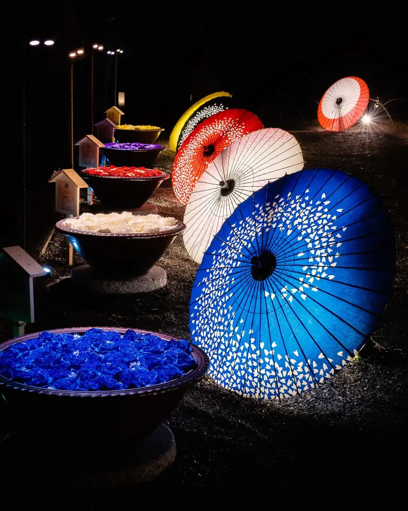 あしかがフラワーパークが日本最古の学校『史跡足利学校』を花と光の魔法で期間限定演出！ 画像 4