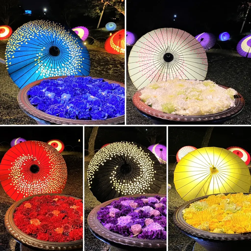 あしかがフラワーパークが日本最古の学校『史跡足利学校』を花と光の魔法で期間限定演出！ 画像 6