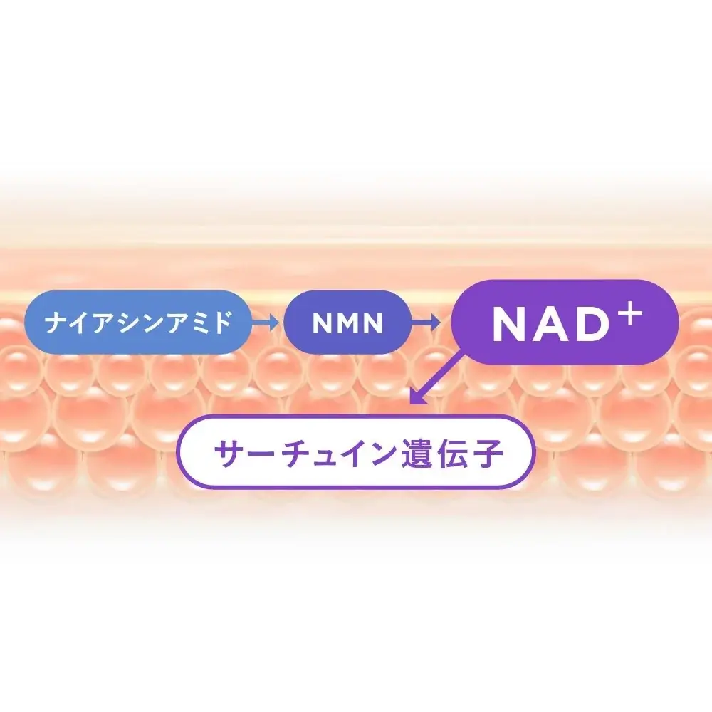 美容外科医・桂田凛先生コラボ「リンシープラス」登場！“生”ビタミンC×NAD+処方で叶える新毛穴ケア 画像 10