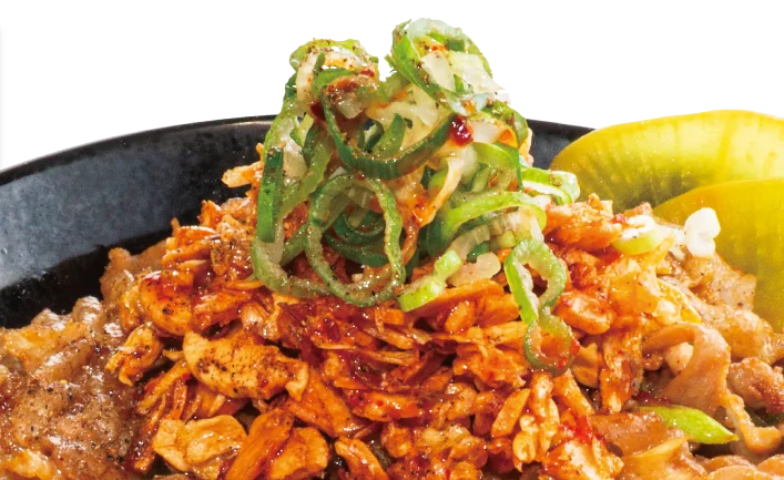 選ばれた 5 名に【1年間トッピング無料！】＆「すた丼マニア」の称号を進呈！ 画像 12