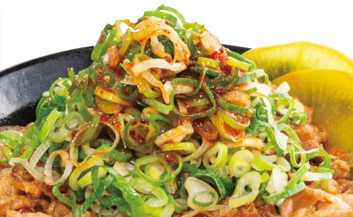 選ばれた 5 名に【1年間トッピング無料！】＆「すた丼マニア」の称号を進呈！ 画像 5