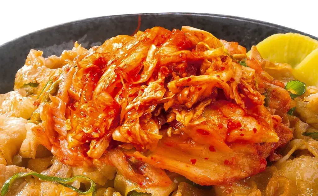 選ばれた 5 名に【1年間トッピング無料！】＆「すた丼マニア」の称号を進呈！ 画像 7