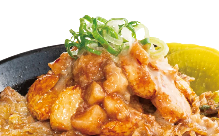 選ばれた 5 名に【1年間トッピング無料！】＆「すた丼マニア」の称号を進呈！ 画像 9