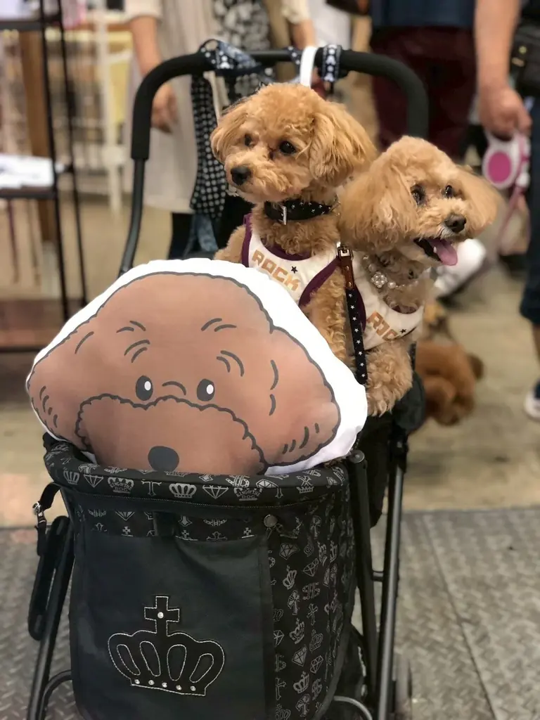 11月1日（土）『MARKS PLAZA』グランドオープン！３日間 オープニングイベントを開催 画像 12