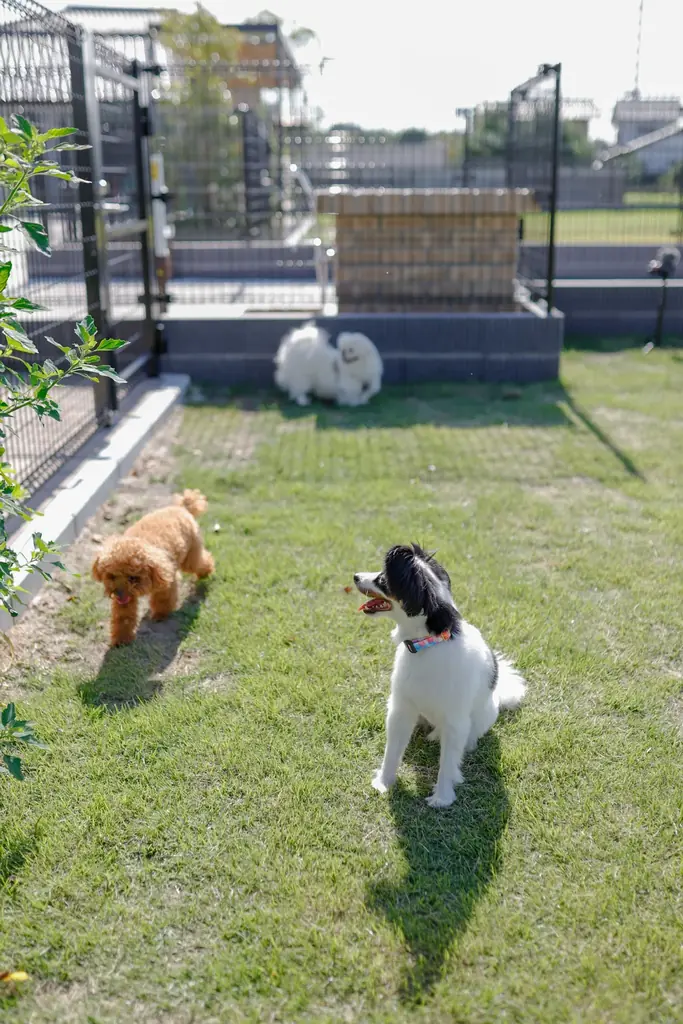 11月1日（土）『MARKS PLAZA』グランドオープン！３日間 オープニングイベントを開催 画像 6