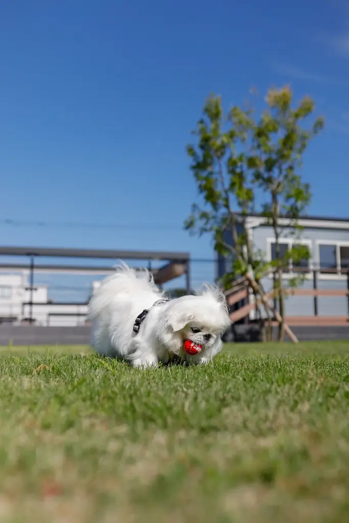 11月1日（土）『MARKS PLAZA』グランドオープン！３日間 オープニングイベントを開催 画像 7