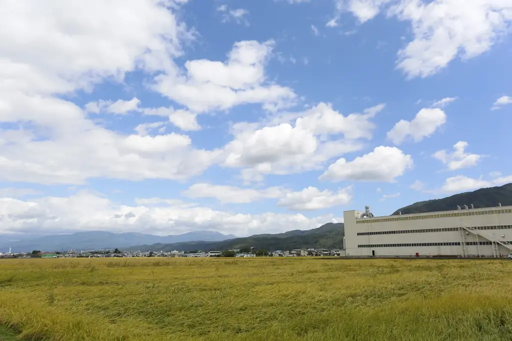 【アルテマイスター × Sghr スガハラ】ガラスの魅力が詰まった新作仏具「流彩」を発売 画像 10