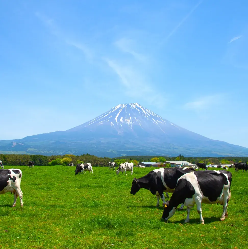 『あさぎり牛乳』関西初の常設店が誕生！富士山麓の“牛乳屋さんのミルクスイーツ”が阪神梅田本店へオープン 画像 7