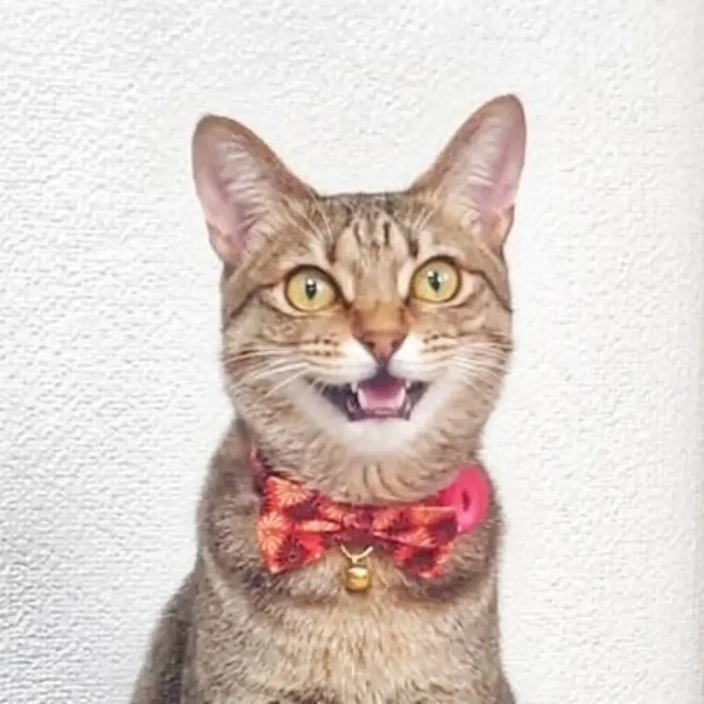 人気Vアーティスト＆クリエイターとの追加コラボが決定！「discover / えのぐ feat. C.H.E.T.」の第二弾Re-rideアーティストを公開！ 画像 5