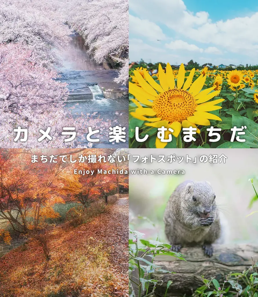 【東京都町田市】まちだの秋フォトキャンペーン2025を開催します 画像 2