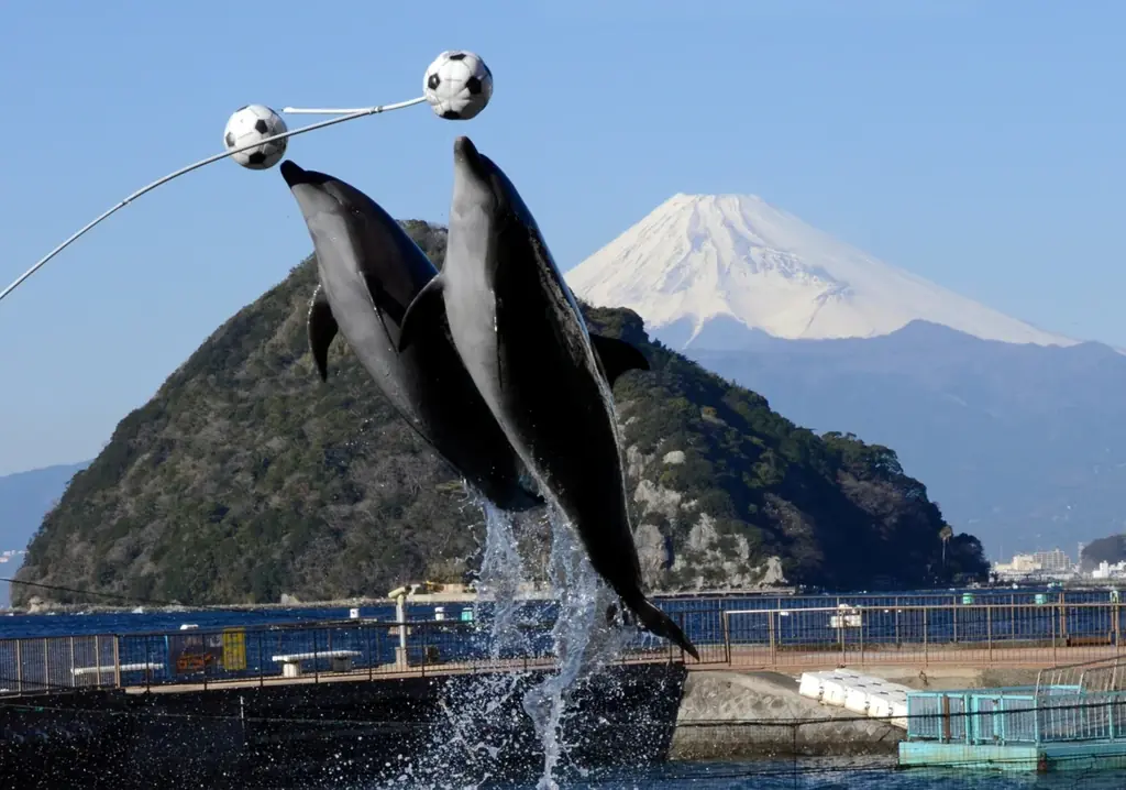 『LOVOT』と行く！1泊2日バスツアー 『LOVOT』の製造工場「キョウデンプレシジョン」を一般初公開 画像 6