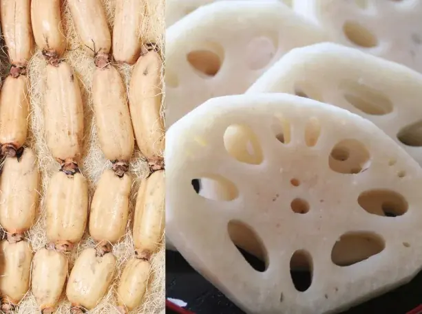 11/8「徳島県れんこんの日」＆ 11/17「蓮根の日」☆11月限定【旬！徳島れんこんフェア】4つのレストランで16メニュー登場♪ 画像 15