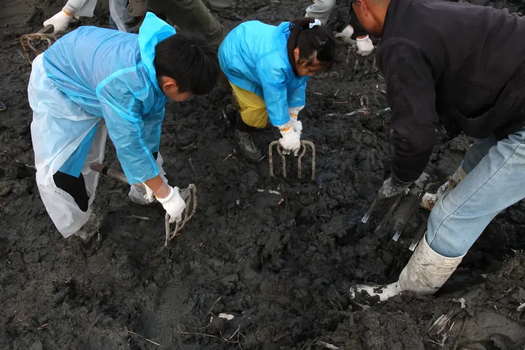 11/8「徳島県れんこんの日」＆ 11/17「蓮根の日」☆11月限定【旬！徳島れんこんフェア】4つのレストランで16メニュー登場♪ 画像 18