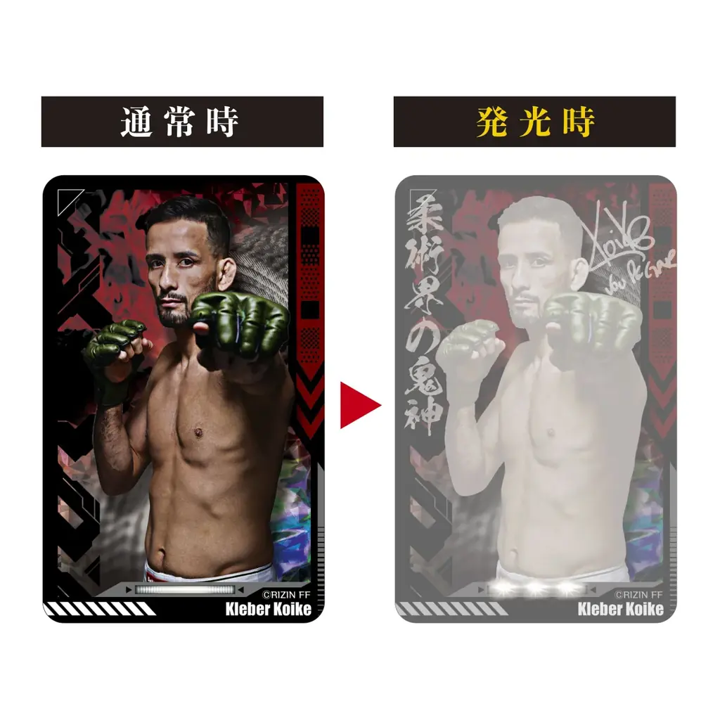 「RIZIN」PIICA＋クリアパスケースが登場！！ 画像 10
