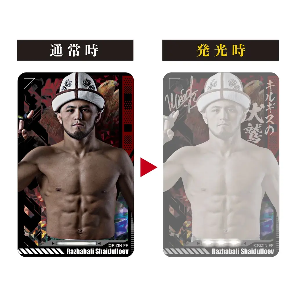 「RIZIN」PIICA＋クリアパスケースが登場！！ 画像 16