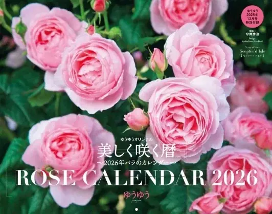 ギンギラギンにさりげなく！マッチが『ゆうゆう』12月号に初登場‼ 画像 3