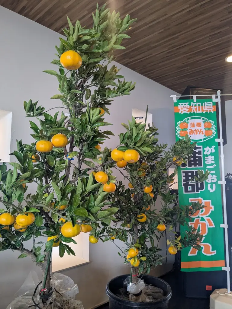 蒲郡市×TGC 三河木綿の魅力を発信！のべ約8,000人が来場！初開催の『GAMA LOVE FES 2025』にて「MIKAWA PALETTE produced by TGC STAGE」開催！ 画像 22