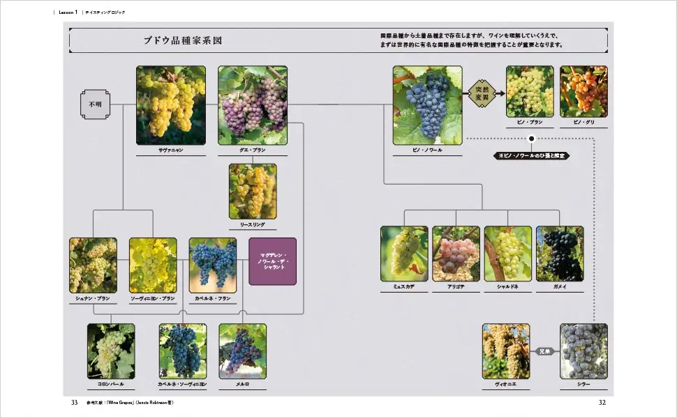 ワイン通・ワイン資格を目指す人、絶賛！好評につき、発売即重版決定‼ 画像 4