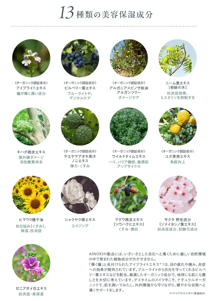 国産ヴィーガンコスメのAINOKIから、大人世代の敏感な目元に寄り添う“艶膜”アイパレットが登場！11/27［木］よりAINOKI公式HP、インスタグラムにて発売開始！ 画像 11