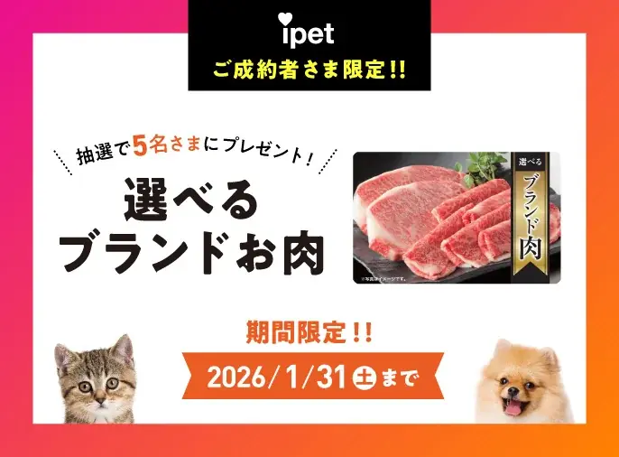 アイペット損保成約でブランド肉2万円が当たるキャンペーン