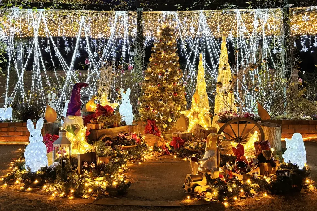 12/1開始　四季の香ローズガーデンが冬のイルミで彩る