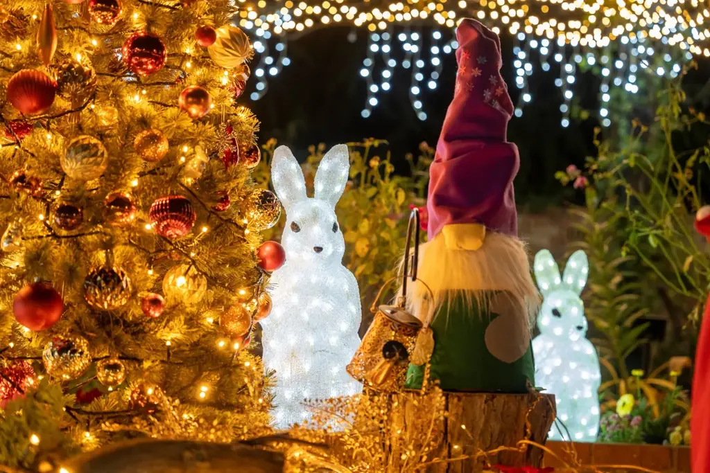 「練馬区立 四季の香ローズガーデン」ガーデンイルミネーション開催／温かな光で冬のローズガーデンを包み込む 画像 2