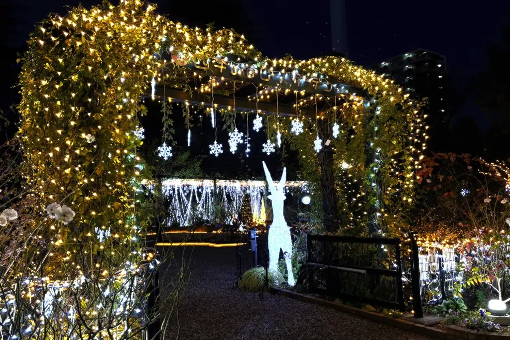 「練馬区立 四季の香ローズガーデン」ガーデンイルミネーション開催／温かな光で冬のローズガーデンを包み込む 画像 3