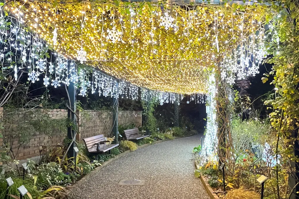 「練馬区立 四季の香ローズガーデン」ガーデンイルミネーション開催／温かな光で冬のローズガーデンを包み込む 画像 4