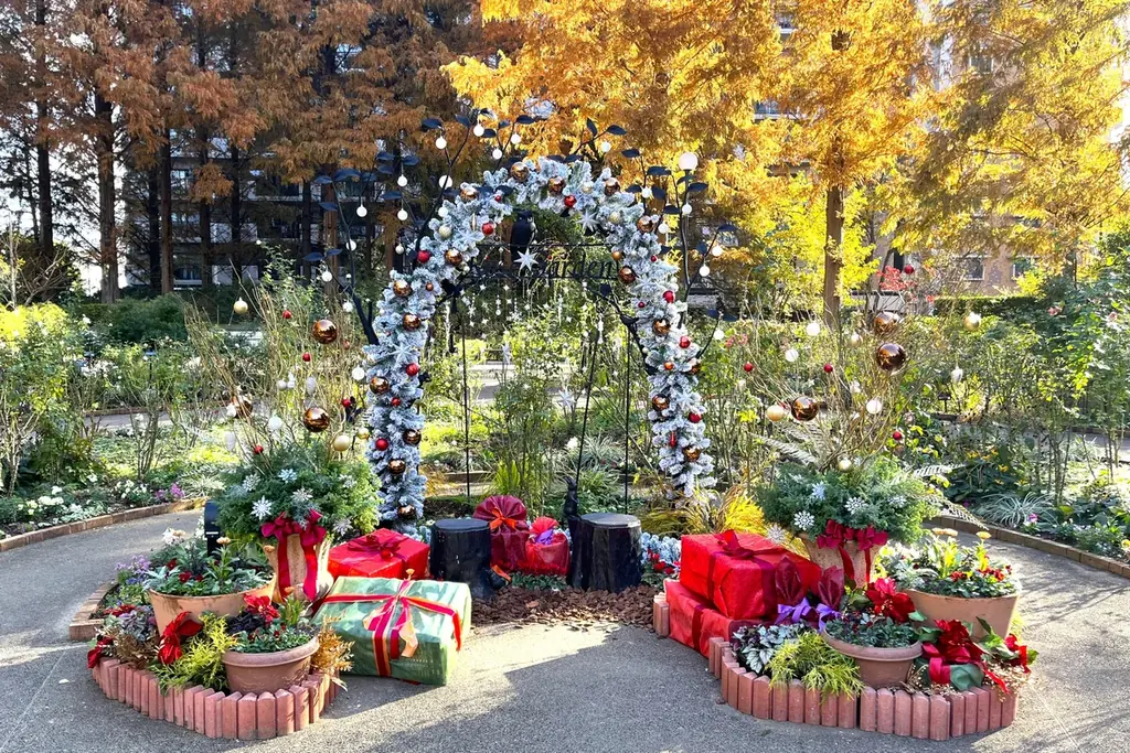 「練馬区立 四季の香ローズガーデン」ガーデンイルミネーション開催／温かな光で冬のローズガーデンを包み込む 画像 5