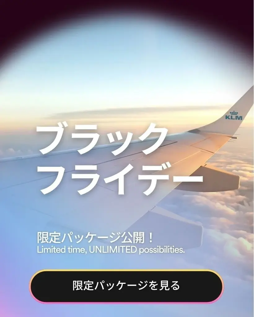 EFブラックフライデー割引