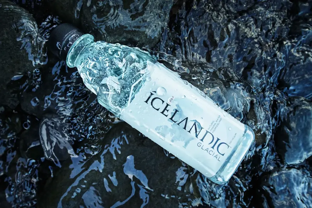 アイスランド大使が来園！湖畔の北欧マーケットも同時開催！ジェンダー平等の先駆け、女性のパワーで社会が変わった1日から50周年記念「アイスランド・クリスマス・ウィークエンド」 画像 16