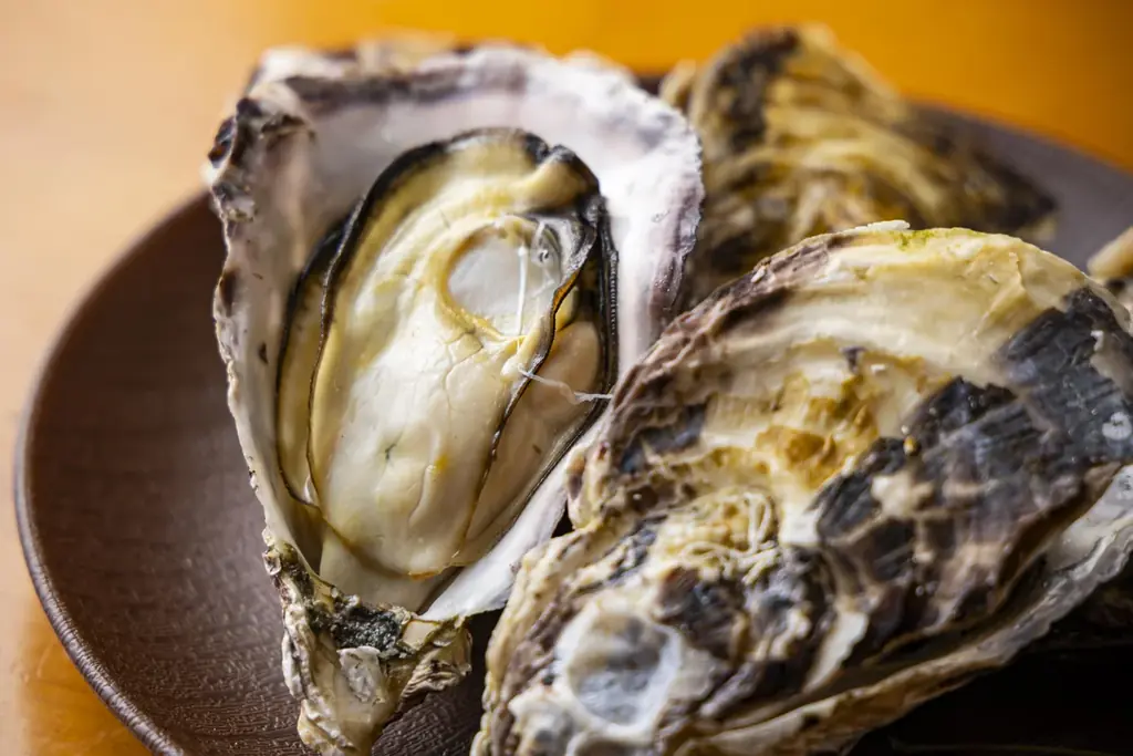 【期間限定】赤穂ブランド牡蠣＜坂越かき＞をプレゼント！兵庫・赤穂シーサイドパークグランピングにてお得な2大キャンペーンを実施中 画像 2