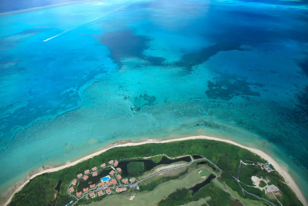 【リゾナーレ小浜島】夕暮れの絶景を望むサウナで、さとうきびが香る熱波に包まれる「さとうきびサウナ」を提供 画像 6