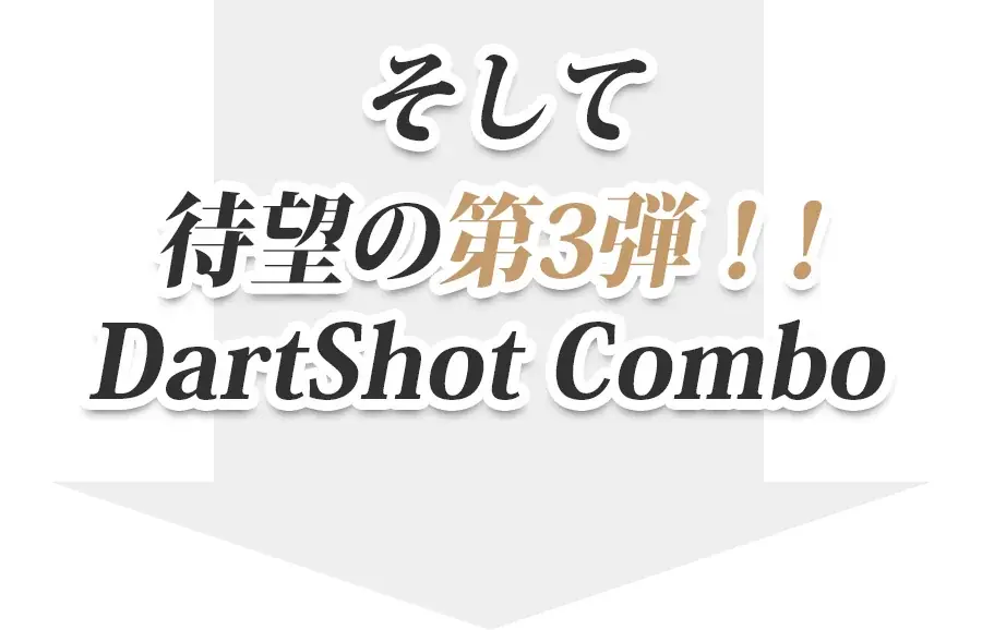 撃っても飾っても本格派。実銃規格のアメリカ射撃訓練用レーザーガンダーツ 画像 4