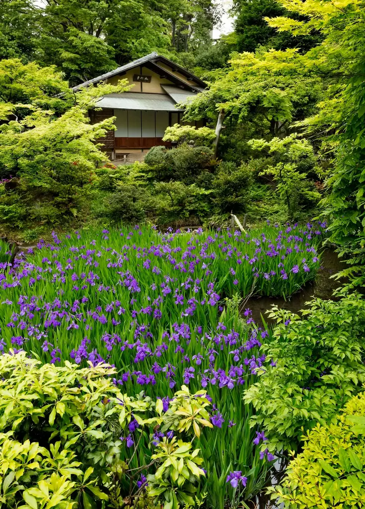 【東京・南青山 根津美術館】2026年度展覧会スケジュールのお知らせ 画像 19
