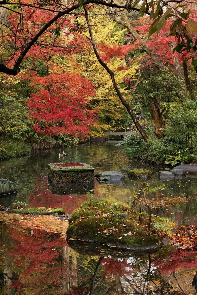 【東京・南青山 根津美術館】2026年度展覧会スケジュールのお知らせ 画像 20