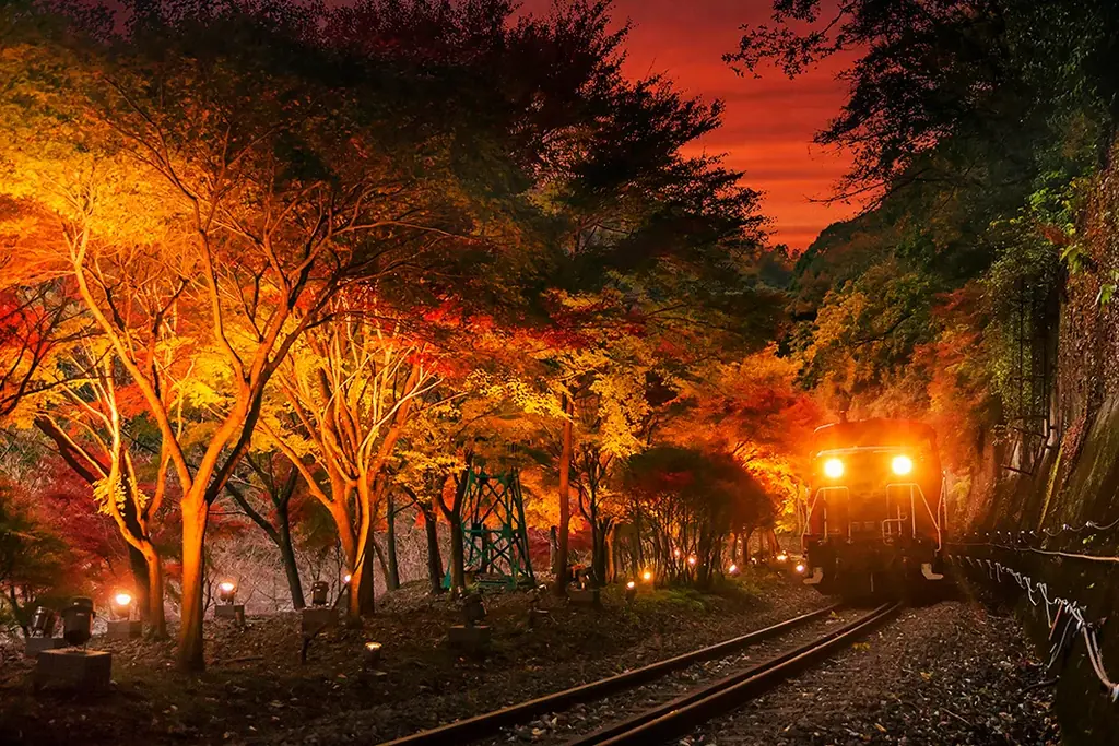 【京都・亀岡】冬を彩る特別運行！12月2日（火）イルミネーション列車「嵯峨野トロッコ ～冬の夜を彩るスイーツ列車～」が登場。 画像 10