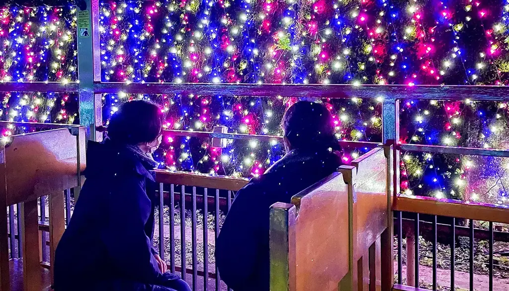 【京都・亀岡】冬を彩る特別運行！12月2日（火）イルミネーション列車「嵯峨野トロッコ ～冬の夜を彩るスイーツ列車～」が登場。 画像 7