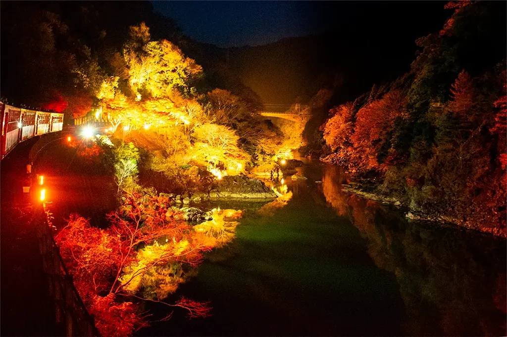 【京都・亀岡】冬を彩る特別運行！12月2日（火）イルミネーション列車「嵯峨野トロッコ ～冬の夜を彩るスイーツ列車～」が登場。 画像 8