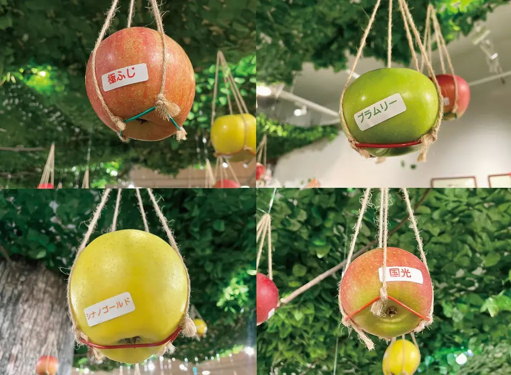「りんご狩りかもしれない展2025」渋谷PARCOで開催！ 画像 3