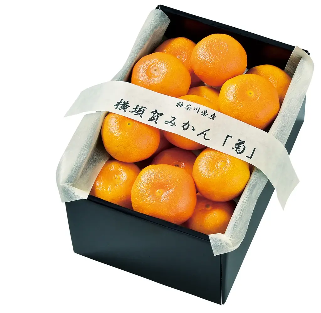 フルーツマイスターの熟練の目利きで、感謝の気持ちを　フルーツショップ青木が贈る「冬ギフト」受注開始 画像 7