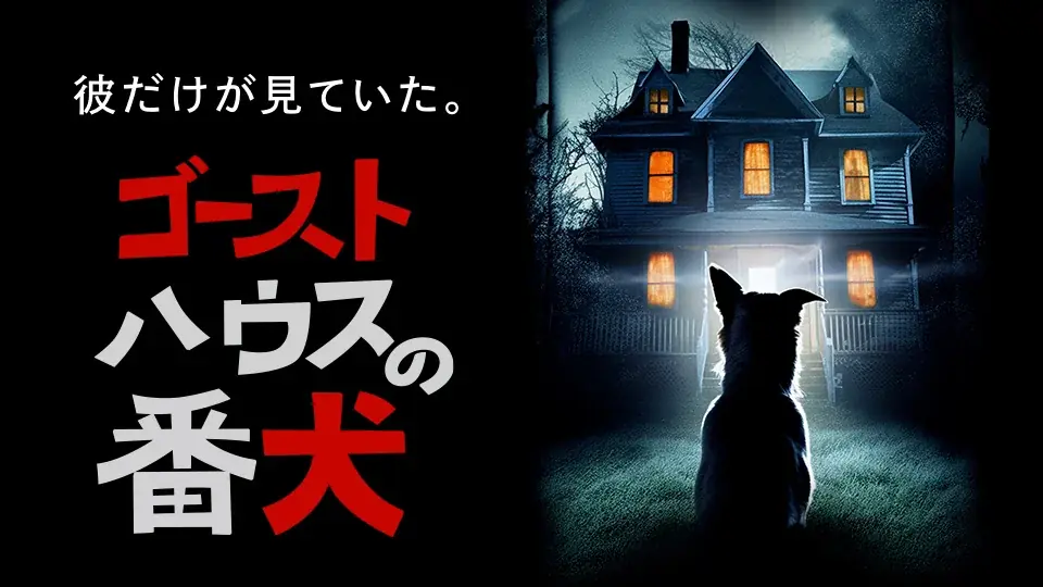 【SAMANSA】11月第1週の新作ショート映画ラインナップを発表！アムステルダムを舞台に描かれる3連発コメディから悪霊と戦うワンちゃんのホラー作品を含む4本を公開！ 画像 5